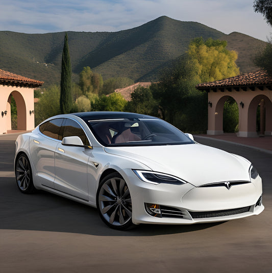 Exploring the Future of Electric Vehicles: Facts and Figures